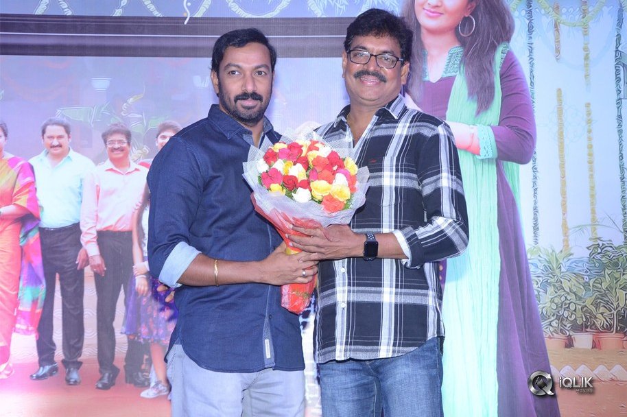 Ammammagarillu-Movie-Successmeet